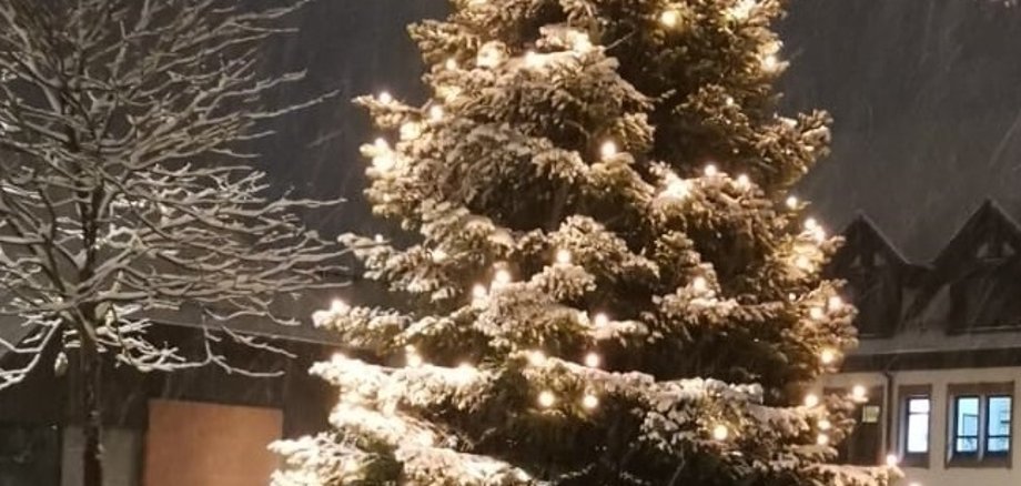 Weihnachtsbaum am Rathausplatz Enkenbach-Alsenborn