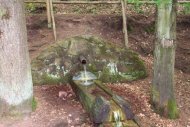 Quelle am Billesweiher Überlaufbrunnen