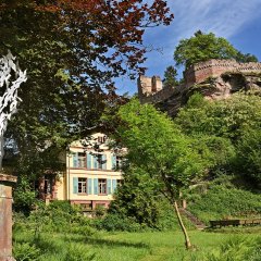 Diemerstein Burgruine 2018