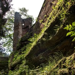 Diemerstein Burgruine 2018