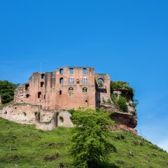 Frankenstein Burgruine 2018