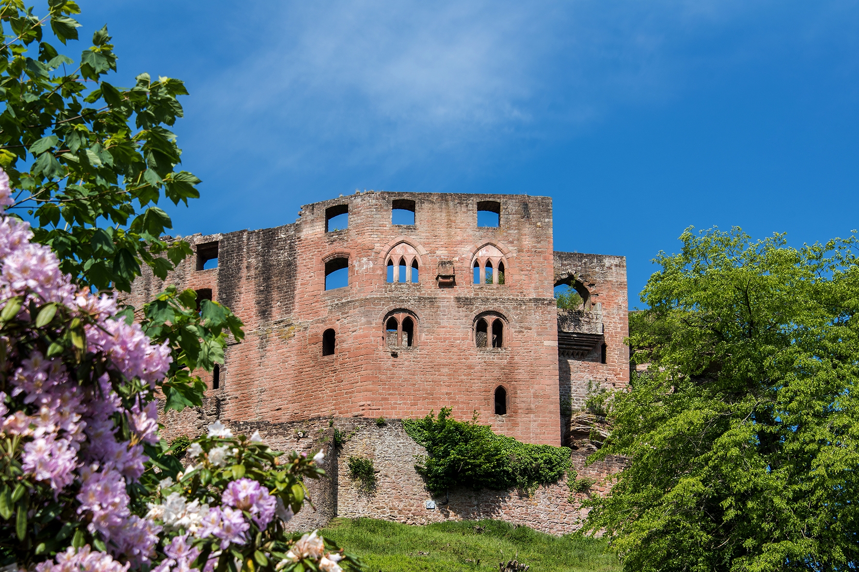 Frankenstein Burgruine 2018 Frankenstein Burgruine 2018