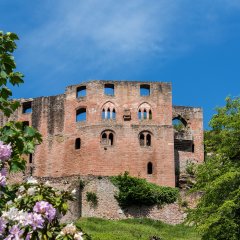 Frankenstein Burgruine 2018