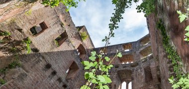 Frankenstein Burgruine 2018 Frankenstein Burgruine 2018