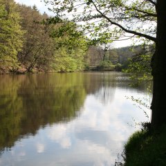 Schwarzweiher