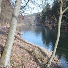 Schwarzweiher